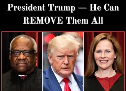 Public Official Under Investigation for Alleged Misuse of Authority in Cannabis Industry Deal