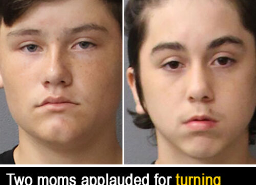 Florida Moms Report Sons to Police After $50K School Vandalism