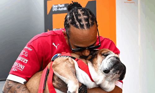 Lewis Hamilton, Eligible F1 Champion, Mourns the Loss of Beloved Dog Roscoe