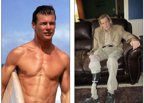 “Jan-Michael Vincent: The Hollywood Rebel Who Ruled the Skies in Airwolf and Left a Lasting Legacy of Brilliance and Struggle”