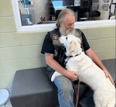 Motorcyclist Finds Abandoned Dog on Bridge with Emotional Note