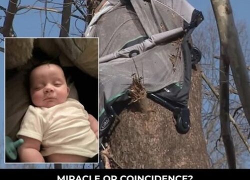 Tornado Snatches Baby From Crib — What Followed Left Everyone Speechless