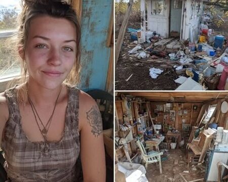 A recently divorced woman transforms a 10’x11’ shed into a charming tiny home.