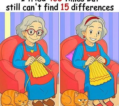 Find All 15 Differences – How Sharp Are Your Eyes?