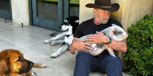 “At 78, Arnold Schwarzenegger Enjoys a Peaceful Life in Los Angeles with His Partner and Their Six Beloved Pets – in 10+ Photos”