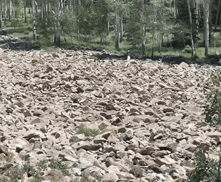 Can you find the hidden woman in this optical illusion?