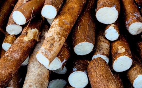 Every year, more than 200 people die from the “world’s most dangerous food,” yet nearly 500 million continue to consume it.