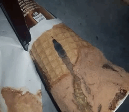 “How a Simple Ice Cream Taught Me a Life Lesson”