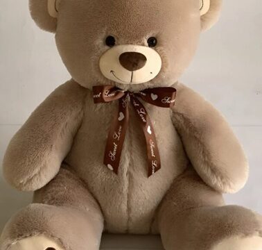 Tragedy Strikes Twice: Fire Breaks Out During 8-Year-Old’s Funeral—Family Left Devastated by Shocking Discovery