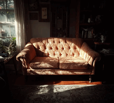 I Cared for My Ailing Grandmother and Took Home Her Antique Couch — Then I Discovered a Hidden Zipper