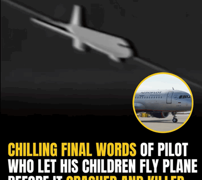 Tragic Plane Crash: Pilot’s Haunting Last Message Before Disaster Struck After Letting His Kids Take Control