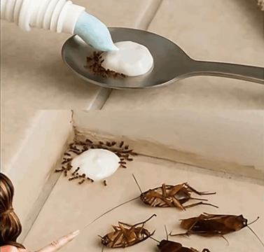 Say Farewell to Pests the Natural Way—No Chemicals Needed