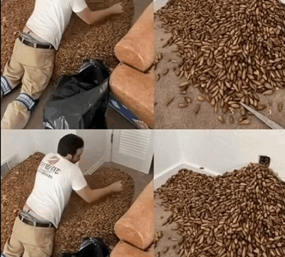 The Odd Scent Guided Him to the Wall — What He Found Behind It Was Unbelievable