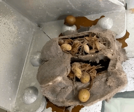 What I Found in the Forgotten Corner of My Garage Surprised Me