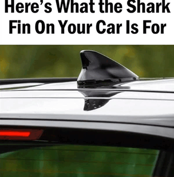 The Surprising Reason Your Car Has a Shark Fin Antenna