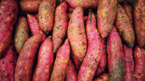 7 Incredible Ways Eating Sweet Potatoes Every Day Can Boost Your Health — Scientific Evidence Included
