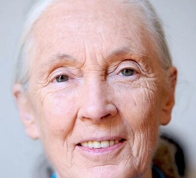 Cause of Death Revealed for Iconic Zoologist Jane Goodall