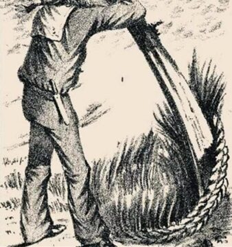 This Drawing Hides the Sailor’s Wife — Are Your Eyes Keen Enough to See Her?