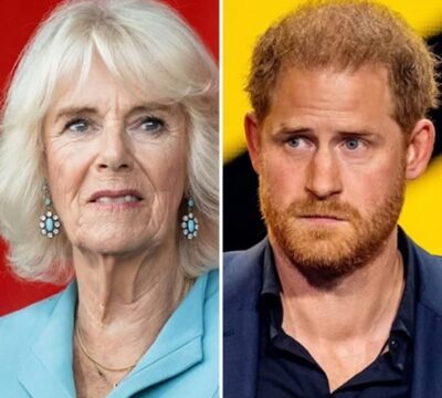 Breaking news: Queen Camilla’s reaction after Prince Harry met the King reveals what many have long suspected.