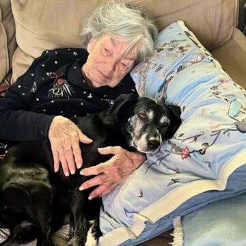 As my relatives argued over Grandma’s inheritance, I brought home her cherished dog and discovered the hidden truth she meant only for me.