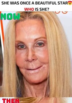 Joan Van Ark: The Trailblazing Star Who Redefined What Beauty, Legacy, and Staying Power Mean in Hollywood