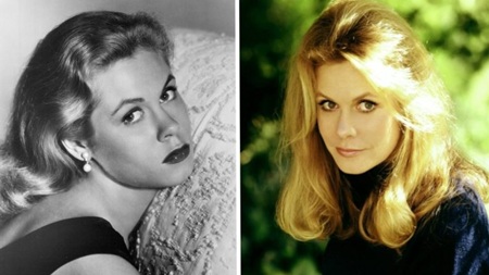 We were all stunned by the sudden death of Elizabeth Montgomery.