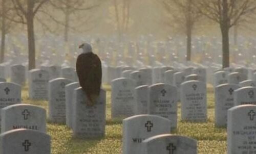 When Eagles Honored the Fallen: A Moment of Silence That Touched the World
