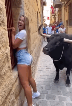 “Tourist Faces Bull — What Happens Next Will Shock You”