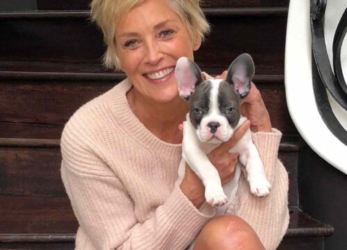 Sharon Stone Shines in a Bikini at 66 — A Celebration of Confidence, Authentic Beauty, and Ageless Strength