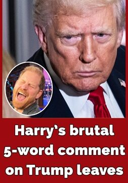 Prince Harry Roasts Trump with Savage Joke on Late-Night Show