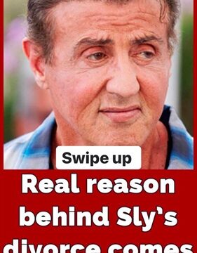 We feel for the Stallone family as news emerges of the end of their 25-year marriage.