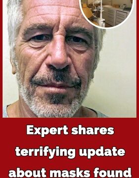 A forensic specialist has identified some of the 11 disturbing masks displayed on the wall in Jeffrey Epstein’s so-called ‘fetish room.’