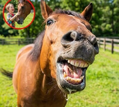 “The Curious Case of the Horse: Insights into Animal Behavior and Keeping Farms Safe”