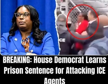 Democratic Lawmaker Faces Up to 17 Years in Prison Over Federal Case Tied to ICE Clash