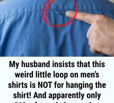 “The Hidden Reason for That Tiny Loop on the Back of Your Button-Down Shirt”