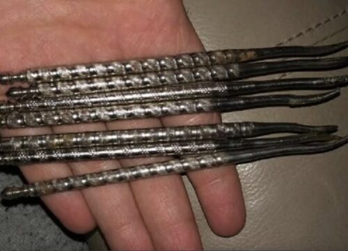 Odd nut-gathering device has the internet divided