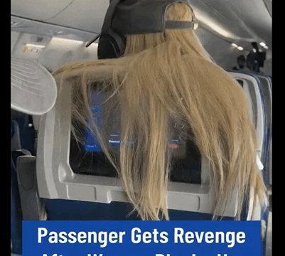 “Passenger Strikes Back After Someone’s Hair Blocks Her TV”