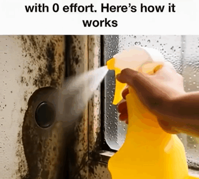 How to Remove Mold from Your Home Safely Using Hydrogen Peroxide