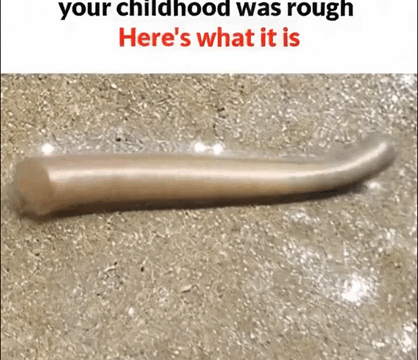 “I didn’t know that.”