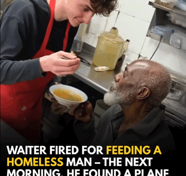 Server Loses Job for Letting a Homeless Man Dine Inside — Next Day, a Plane Ticket Arrives at His Home.